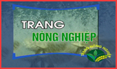 Trang nông nghiệp (28-5-2024)