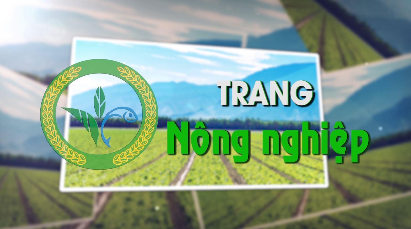 Trang nông nghiệp (03.01.2023)