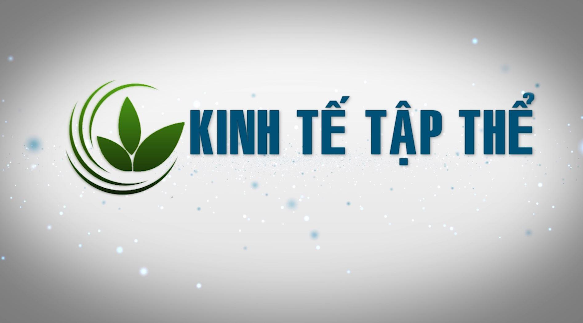 Kinh tế tập thể (11.01.2023)