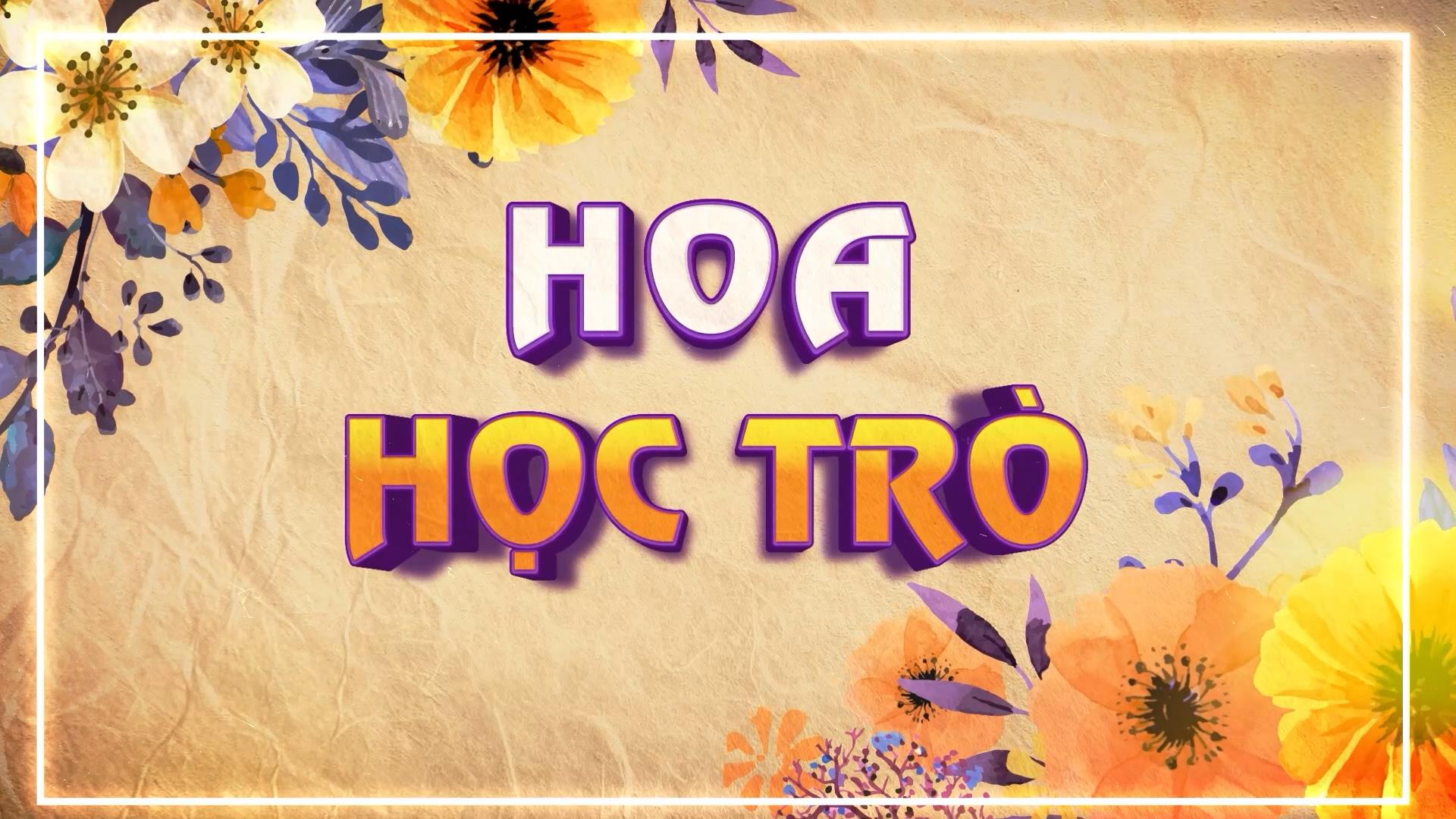 Hoa học trò (09.03.2024)