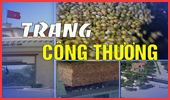 Trang Công thương (05.05.2025)